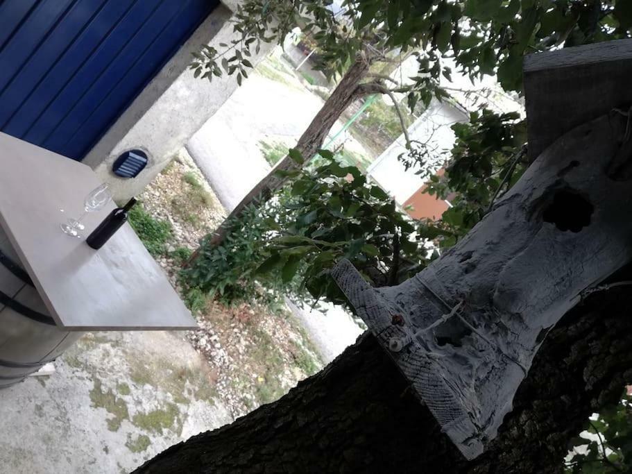 Apartment Dobric Koromacno Bagian luar foto